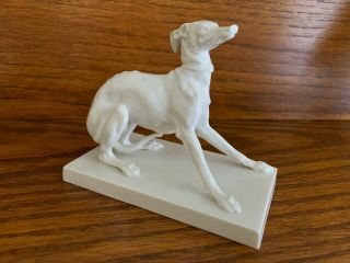Rare Old Nymphenburg Porcelain Italian Greyhound Whippet Dog By Pj Mene