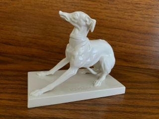 RARE Old Nymphenburg Porcelain Italian Greyhound Whippet Dog by PJ Mene 2