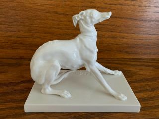 RARE Old Nymphenburg Porcelain Italian Greyhound Whippet Dog by PJ Mene 3