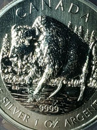 2013 Canada Silver Bison $5 Wildlife Series Anacs Ms70 1oz.  9999 Fine Silver ☆☆☆