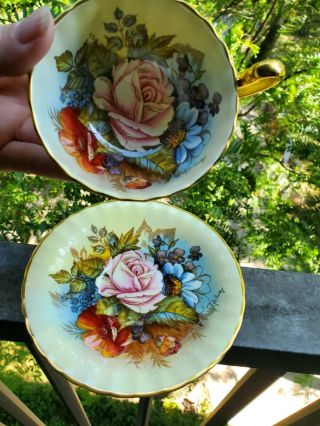 SPECTACULAR and RARE Aynsley Cabbage Rose Teacup and Saucer Signed J A Bailey 2
