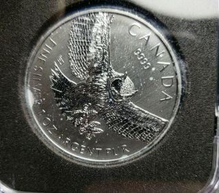 2015 Silver 1 Oz Canada Birds Of Prey Owl