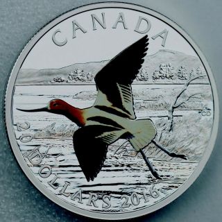 2016 Canada $20 Dollars 9999 Silver Coin The American Avocet Color Proof