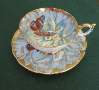 Stunning,  Aynsley Butterfly And Chrysanthemum Tea Cup & Saucer,  Bone China