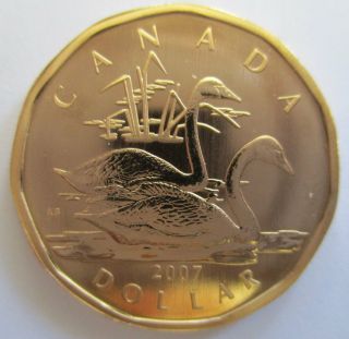 2007 Canada $1 Trumpeter Swan Specimen Dollar Coin