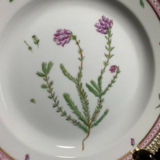 Royal Copenhagen Flora Danica 7 5/8” Salad Plate Erica Tetralix L 3573 Pristine 2