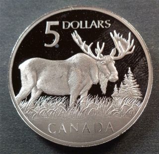 Canada - Elizabeth Ii,  Silver Proof 5 Dollars,  2004