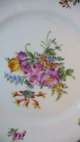 QTY 12 AMBROSIUS LAMM DRESDEN HAND PAINTED FLORAL 10 
