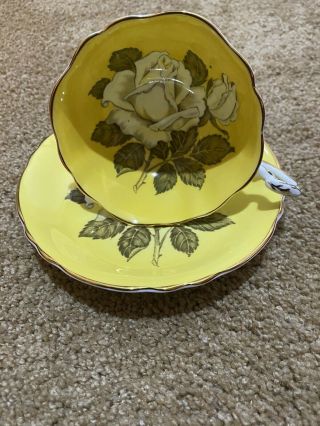 Paragon Cup And Saucer Floating Large White Rose On Yellow Double Warrant Rare