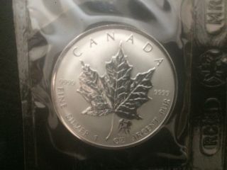 2004 Canada $5 1oz Gemini Privy Mark Silver Maple Leaf Coin Zodiac Series
