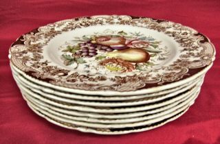 Set Of (8) Johnson Brothers Windsor Ware Harvest Fruit Dinner Plates -