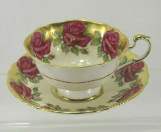 Rare Paragon Pink Cabbage Rose Gilded Gold Footed Cup & Saucer