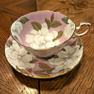 Rare Pink Magnolia Paragon Tea Cup Saucer Floral Flowers