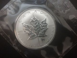 2004 Canada $5 1oz Aries Privy Mark Silver Maple Leaf Coin Zodiac Series