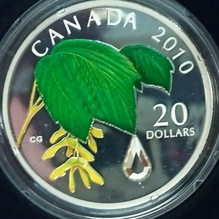2010 Canada $20 Fine Silver Coin Maple Leaf W/ Crystal Raindrop W/ Box &