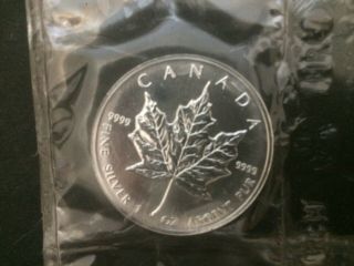 1999 Canada $5 1oz Silver Maple Leaf Bullion Coin.  9999 Fine Bu Dollar Round