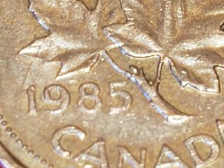 1985 Canadian Cent Rare Pointed 5 Take A Lqqk
