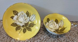 Paragon Cup And Saucer Floating Large White Rose On Yellow Double Warrant Rare