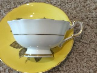 Paragon Cup And Saucer Floating Large White Rose On Yellow Double Warrant Rare 3
