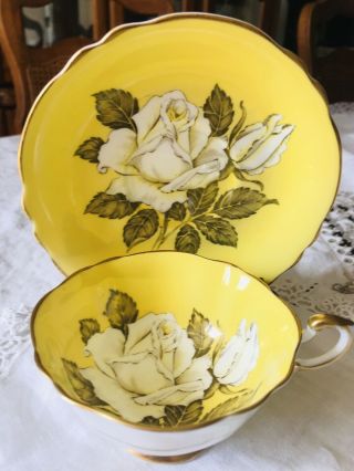Vintage Paragon Bone China Teacup & Saucer Yellow Big Rose