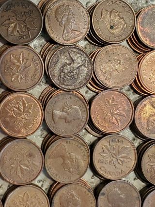 579 Canadian pennies copper,  Plus one pound Walking Liberty Bar.  9995 fine 2