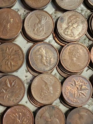 579 Canadian pennies copper,  Plus one pound Walking Liberty Bar.  9995 fine 3