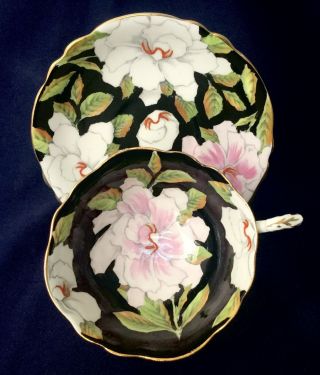 Paragon Teacup & Saucer Pink & White Flowers On Black Ground Double Warrant