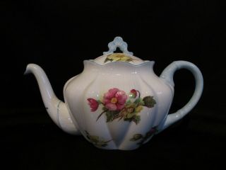 Shelley - Begonia - Teapot