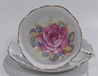 Scarce Paragon Pink Cabbage Rose Cup & Saucer Baby Blue Background C1938 - 1952