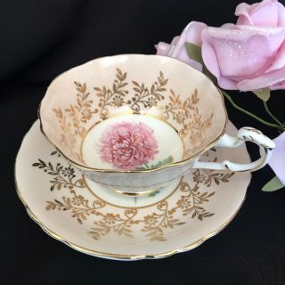 Rare Pink Hydrangea Paragon Tea Cup&saucer Warrant Queen Isexcellent