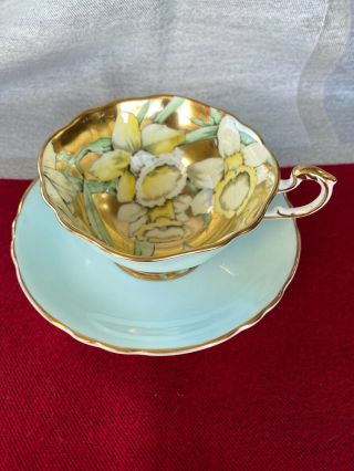 Rare Stunning Paragon Baby Blue Teacup & Saucer Large Daffodils Heavy Gold