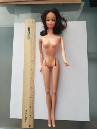 Barbie Miss America Walk Lively Steffie Doll 1970s Mattel Rooted Plus Ken