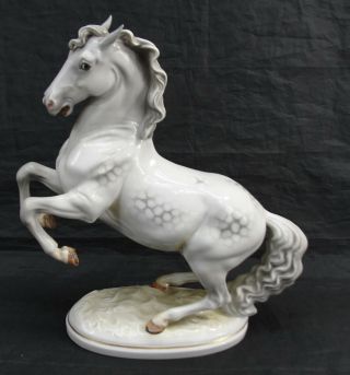 Vintage Augarten Wien Porcelain Horse Figurine Statue 10.  5 " Austria 1731