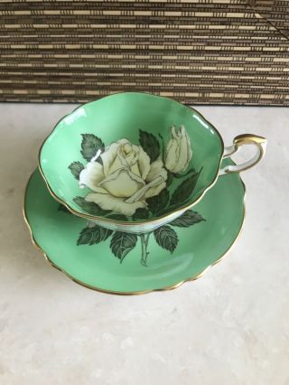 Paragon China White Cabbage Rose Tea Cup & Saucer Queen Mary