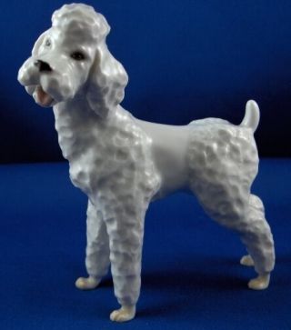 Augarten Porcelain Poodle Dog Figurine Figure Porzellan Pudel Figur Vienna Wien
