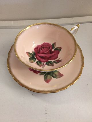 Paragon Double Warrant Cabbage Rose Teacup And Saucer Signed R Johnson
