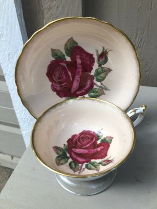 Double Paragon Cabbage Rose Teacup And Sauce Signed R Johnson