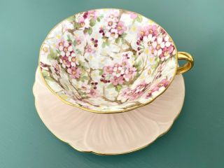 Vintage Shelley Maytime Chintz Oleander Tea Cup And Saucer