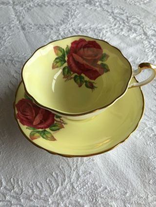 Paragon Floating Red Cabbage Rose Cup And Saucer R Johnson Double Warrant