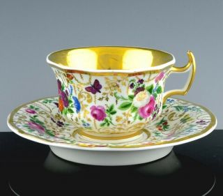 19thc Kpm Berlin Gold Gilt Porcelain Insect & Floral Tea Cup Saucer Dish
