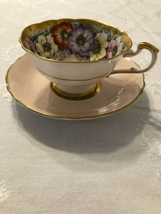Stunning Paragon Pink Cup And Saucer Gold Trim Wild Anemone Double Warrant