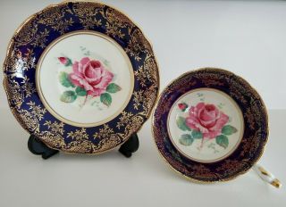Paragon Teacup And Saucer Cabbage Rose Cobalt Blue And Gold Double Warrant