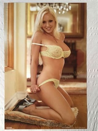 Cristi Shake Poster Sexy Bra Panties High Heels Breasts Girl On Knees Pinup