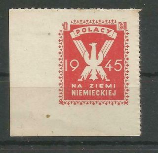 Poland,  Camp Helmstedt,  Fi:4b,  Label With Large Margin,  Signed
