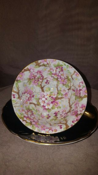 Gorgeous Shelley Black Maytime Chintz Oleander Cup & Saucer.  England