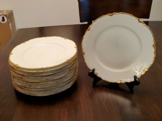 Mz Austria Porcelain White Dinner Plates W/ Gold Rimmed Scalloped Edge Stunning