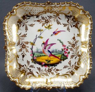 Coalport Hand Painted Chelsea Bird Floral & Gold Soft Paste Dessert Dish C.  1820
