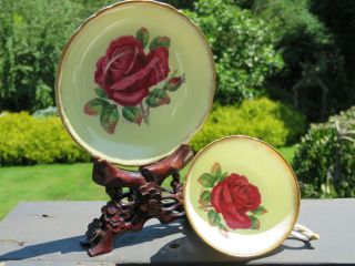 Paragon Cup Saucer Double Warrant Cabbage Rose Signed R Johnson Yellow