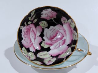 Rare Paragon Hand Painted Pink Cabbage Rose Floral Cup & Saucer C1938 - 52