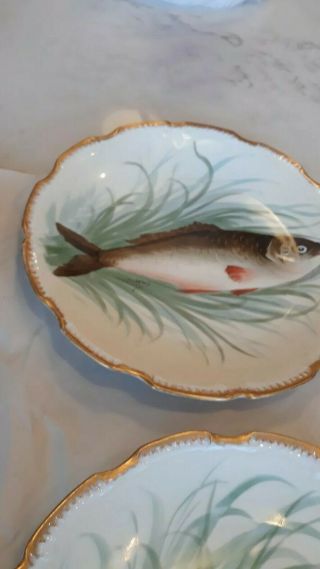 6 Old Perfect Ls&s Limoges France Fish Plate 